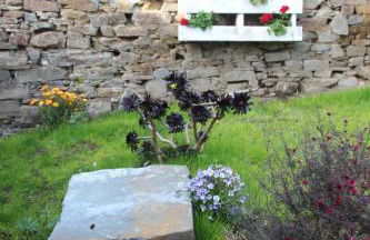 Casa De Aldea La Galea - Foto 24