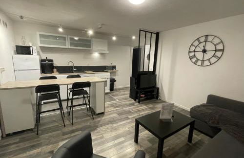 La Cardonille appartement avec patio - Foto 10