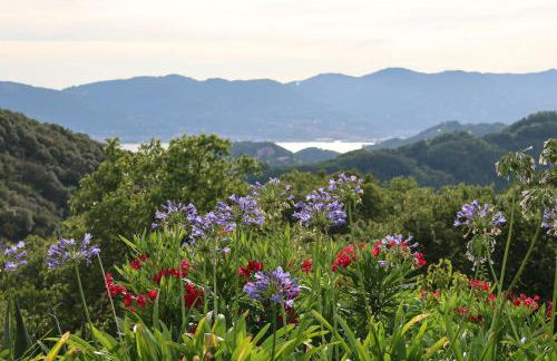 Cinque Terre, Tuscany, Liguria, Lerici, apartment #1 - Photo 43