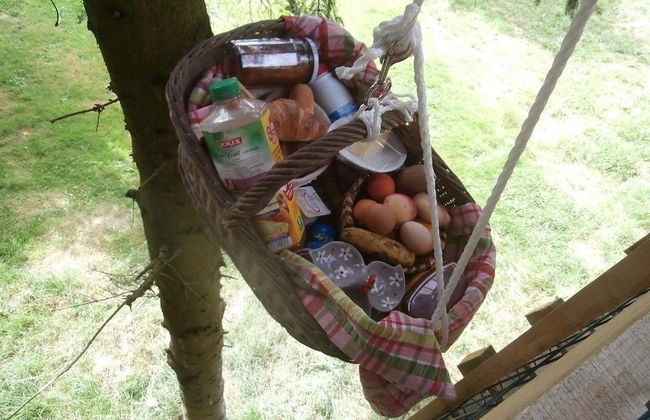 Cabane dans les Arbres - Tree House - Foto 20