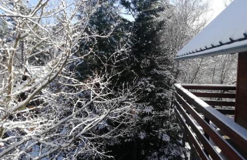 Gite Le Chalet SaintAnthème / Prabouré - Foto 66