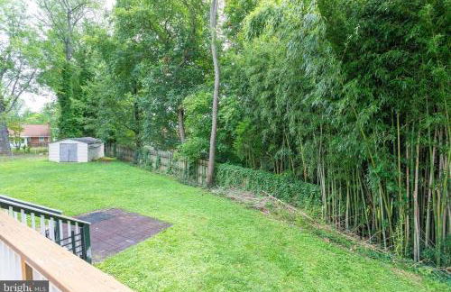 Brand New, Cozy, Modern, One-bedroom Apartment - Foto 7