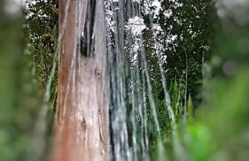 La Casetta nel Bosco - Foto 16