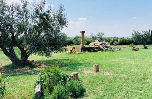 Resort Fonte Vulci - Foto 63