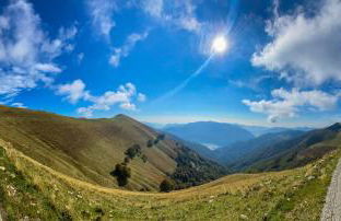 Alexander Place - Foto 16