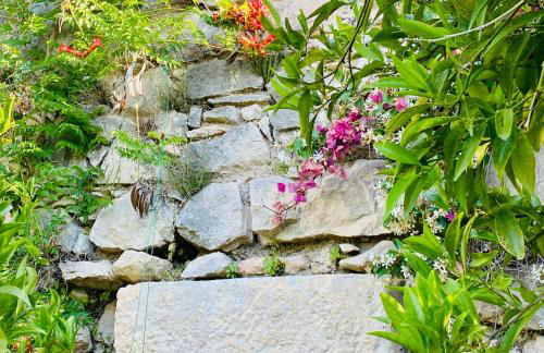 Villa in Gargano - VILLA BASSO - Foto 70