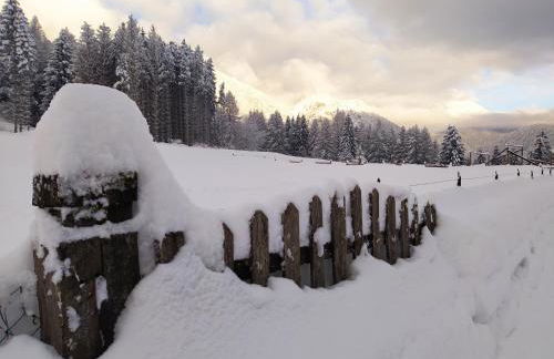 Siora Lina Appartamenti - Photo 12