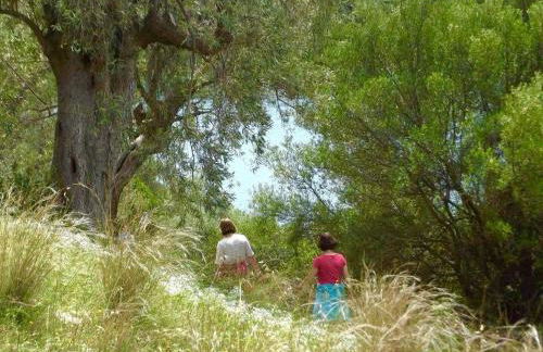 Menelaos Apartments - Foto 8