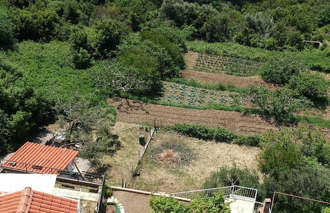 Harmony Apartment Plat - Foto 28