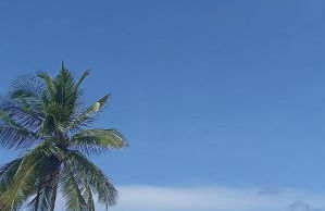 Aconchego Praia da Concha, Ilhéus - BA - Foto 21