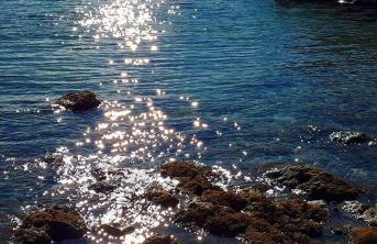 Apartmani Ivanković - Foto 33