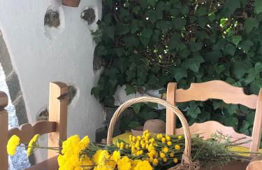 Villa Aurelia - Casa de campo con jardín y piscina entre Madrid y Segovia - Photo 22