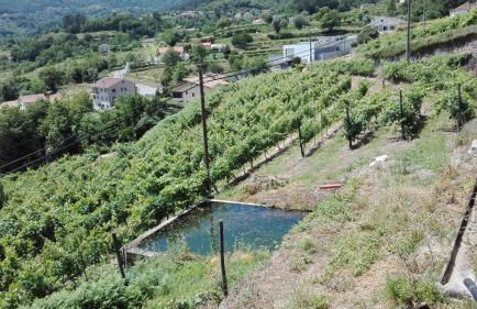 Quinta da Mata - Foto 13