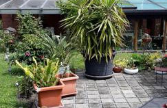 Ferienwohnung Relax - Foto 21