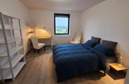 L'Ecrin de Saint Genest Lerpt - Belle vue et Calme - Foto 1