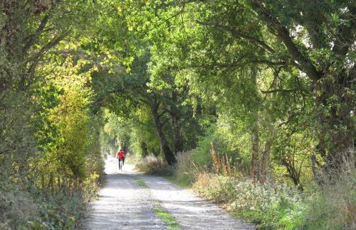 The Summerhouse, countryside retreat with private hot tub - Foto 46