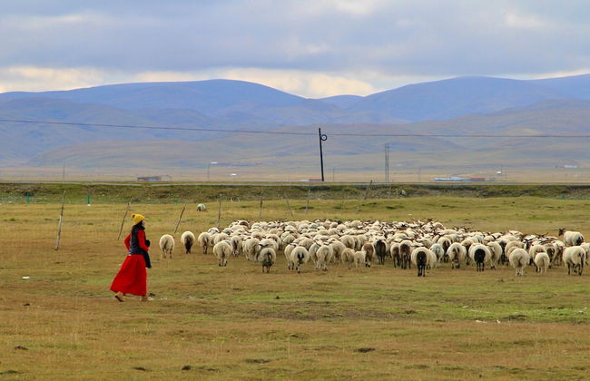 DALI Jade house - Foto 36