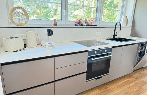 LifeStyle Apartments am Steinsberg, Self Check In, Terrasse, Burg Blick - Foto 28