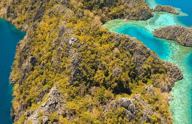 Tour pelo lago Barracuda, Sete Pecados e Skeleton Wreck - Foto 1