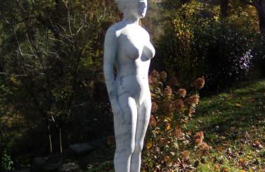 Porcaticcio - Foto 21