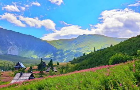Domek pod Kozińcem SAUNA JACUZZI Zakopane - Foto 56