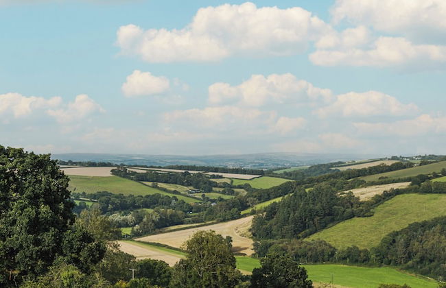 The Mole Resort - Lodges - Foto 44