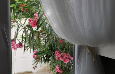 Apartmani Denx - Foto 26