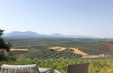 Finca El Almendrillo - Foto 10