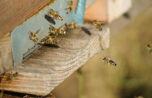 Spreebogenhof - Foto 23