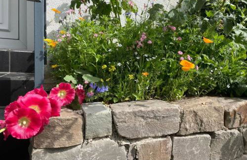 Apartment Annika by Interhome - Foto 16