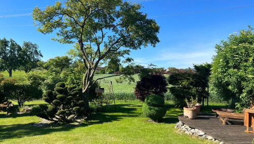 Naturoase, Nähe Arlberg und Montafon, Perfekter Startpunkt zum Skifahren ! - Foto 5, Garden view