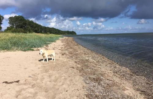 Zauberhaftes englisches Cottage am Gutshaus - Foto 28