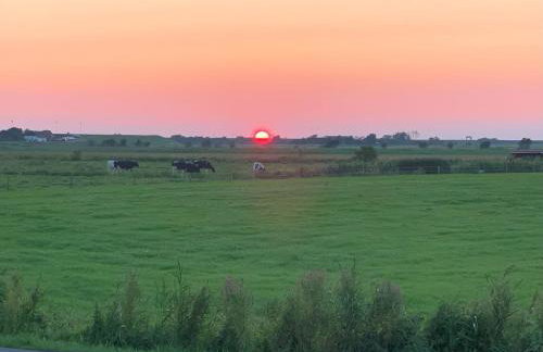 Ferienwohnung Brauer - Foto 9