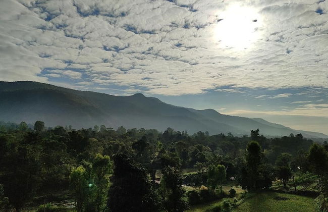 Chardara Agro Tourism - Foto 25