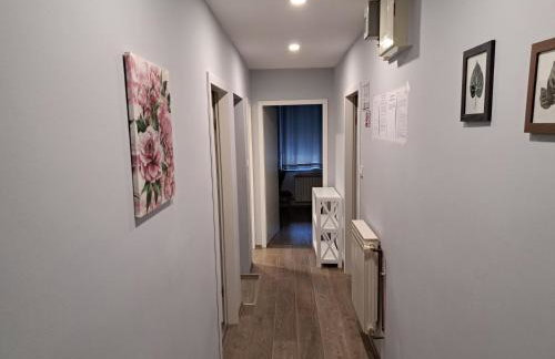 Apartman President Penthouse - Foto 46