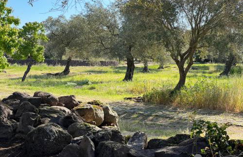 Muristene Pozzo Santa Cristina - Foto 12