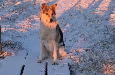 Haus Nommensen - Foto 25