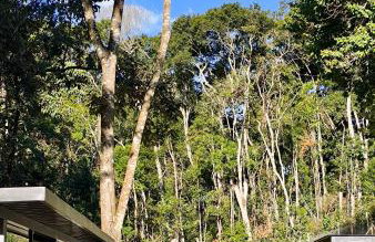 Casa 10 Floresta Boa Vista - Piscina Privativa, Adega e Conforto em 4 suítes - Photo 28