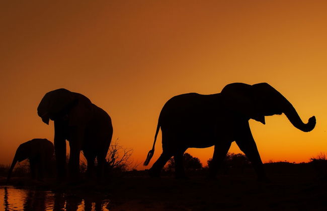 Kolokolo Safari Home – Mashatu Game Reserve - Foto 18