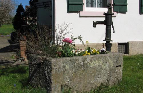 Alte Schmiede - Foto 43