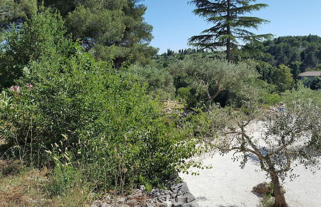 Trulli Parco Grande Con Piscina Privata - Foto 31