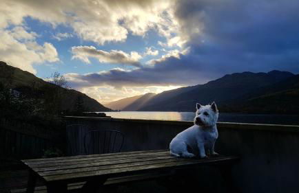 Arrochar Alps Apartment - Foto 26