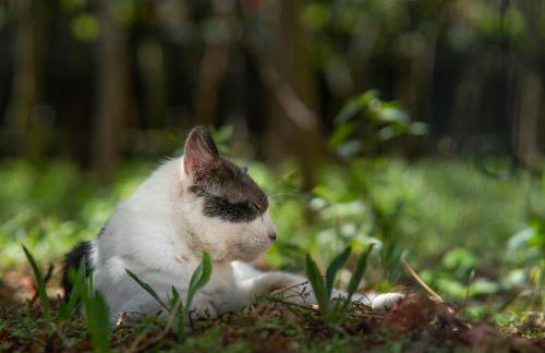 Quinta Vale Vitis - Foto 47