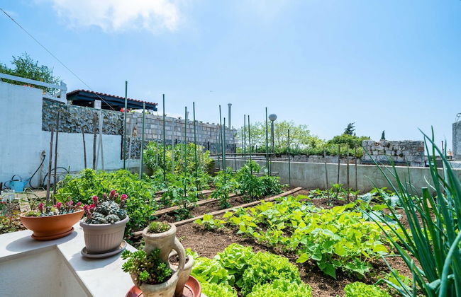 Apartments Nico - Foto 25