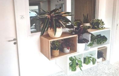 Moderne F3 - 10 min aeroport CDG - Paris - Parc Astérix - Disneyland Paris - Tour Eiffel - Champs Elysée - 15 min Parc des expositions Villepinte - 10 min Le Bourget - 5 min du Golf international de Roissy- JO 2024 - Foto 1