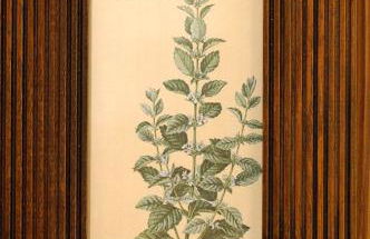 Casa Rural La Botica - Foto 50