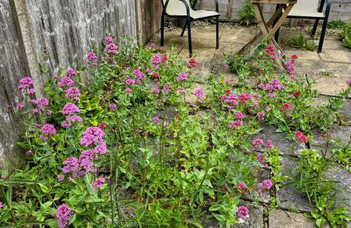 Cosy Cottage - Foto 16