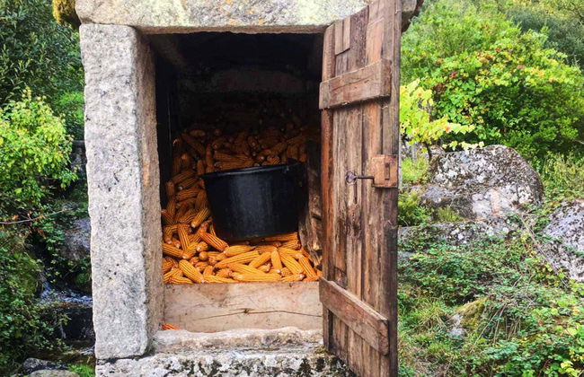 Randonnée à Sistelo - Photo 5