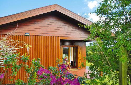 Bungalow São Miguel near Vila Franca Beach - Photo 26