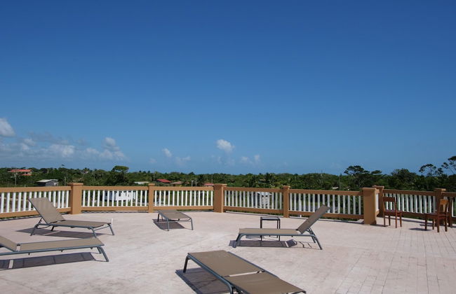 Savannah Sand Dollar - Foto 17